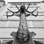 img-happiness-14.jpg