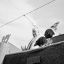 img-happiness-16.jpg