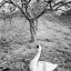 img-happiness-17.jpg