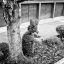 img-happiness-27.jpg