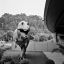 img-happiness-35.jpg
