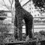 img-happiness-6.jpg