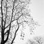 img-happiness-8.jpg