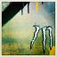 img-mundane_o_rama-17.jpg