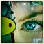 img-mundane_o_rama-6.jpg