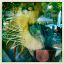 img-mundane_o_rama-7.jpg